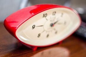 The Elephant Stables