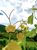 Casa Grande do Seixo