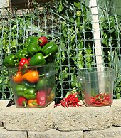 The Inn on Pamlico Sound