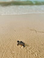 Urraca Monkey Island Eco Resort