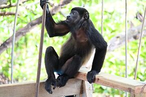 Urraca Monkey Island Eco Resort