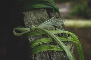 Urraca Monkey Island Eco Resort