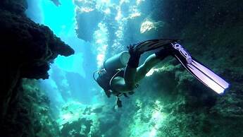 Urraca Monkey Island Eco Resort