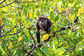 Urraca Monkey Island Eco Resort