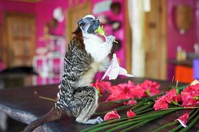 Urraca Monkey Island Eco Resort