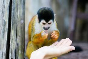 Urraca Monkey Island Eco Resort