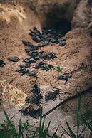 Urraca Monkey Island Eco Resort