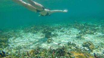 Urraca Monkey Island Eco Resort