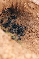 Urraca Monkey Island Eco Resort