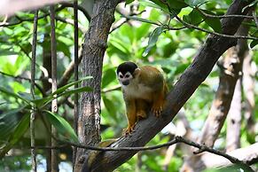 Urraca Monkey Island Eco Resort