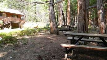 Yosemite Scenic Wonders - Wawona Area