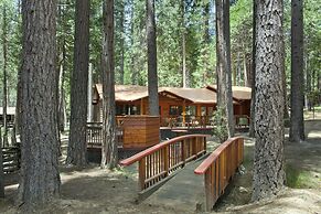 Yosemite Scenic Wonders - Wawona Area