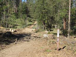 Yosemite Scenic Wonders - Wawona Area