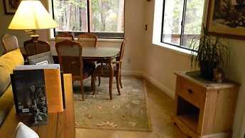 Yosemite Scenic Wonders - Wawona Area