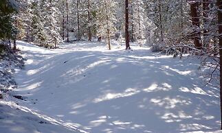 Yosemite Scenic Wonders - Wawona Area