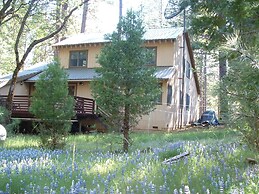 Yosemite Scenic Wonders - Wawona Area