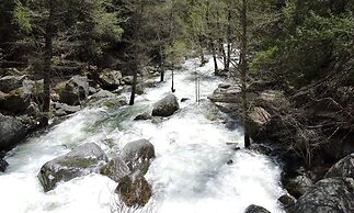 Yosemite Scenic Wonders - Wawona Area