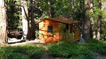 Yosemite Scenic Wonders - Wawona Area