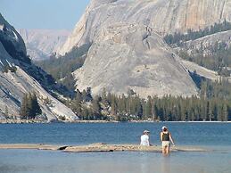 Yosemite Scenic Wonders - Wawona Area