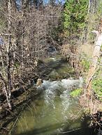 Yosemite Scenic Wonders - Wawona Area