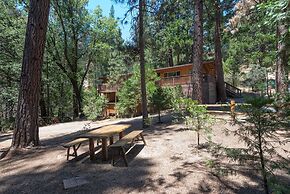 Yosemite Scenic Wonders - Wawona Area