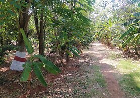 Heritage Resort Hampi