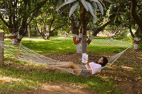 Heritage Resort Hampi