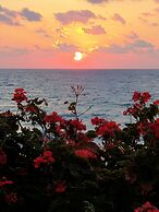 Sun Camero Apartments