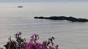 Sun Camero Apartments