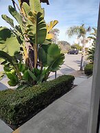 Pacific Plaza Resort