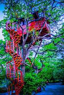 Foster's West Bay Resort