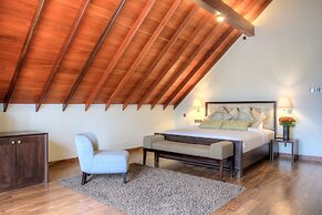 Tea Plant Nuwara Eliya