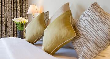 Tea Plant Nuwara Eliya