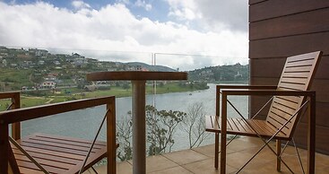 Tea Plant Nuwara Eliya