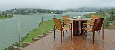 Tea Plant Nuwara Eliya