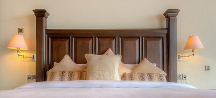 Tea Plant Nuwara Eliya