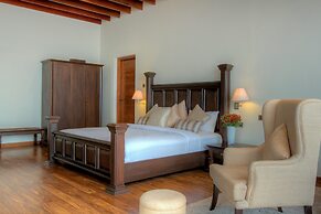 Tea Plant Nuwara Eliya