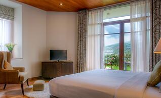 Tea Plant Nuwara Eliya