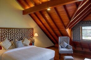 Tea Plant Nuwara Eliya