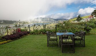 Tea Plant Nuwara Eliya