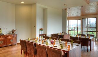 Tea Plant Nuwara Eliya