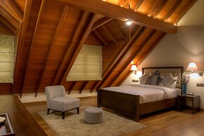 Tea Plant Nuwara Eliya