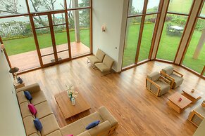 Tea Plant Nuwara Eliya