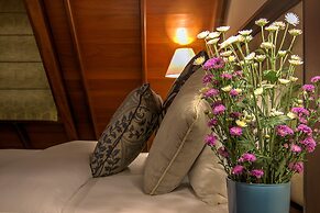 Tea Plant Nuwara Eliya