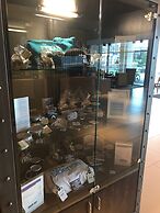 Park Inn by Radisson Novokuznetsk