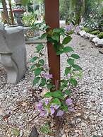 Hotel Campestre Santa Ana