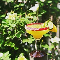 Harbour Square Suites