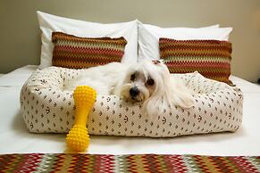 Transamerica Fit Vitória Reta da Penha