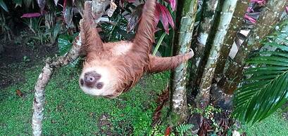 Hotel Escape Caribeño