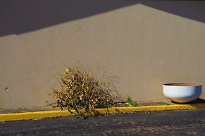 OYO Hotel Beeville - US 181